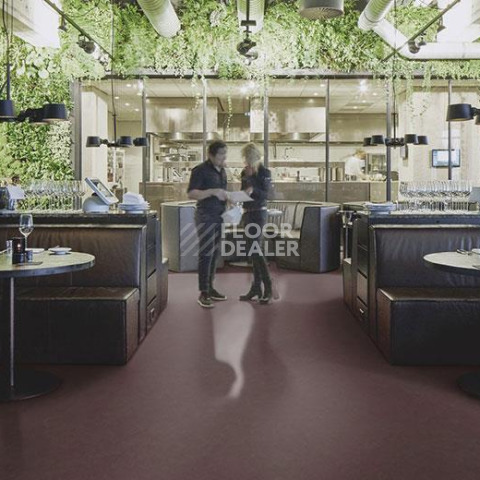 Forbo Marmoleum Decibel on Order 335335 eggplant purple фото 2 | FLOORDEALER